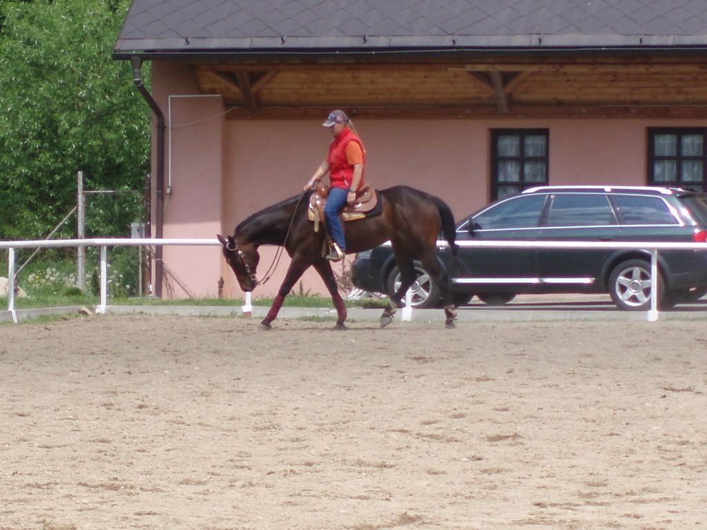 P5242427.jpg